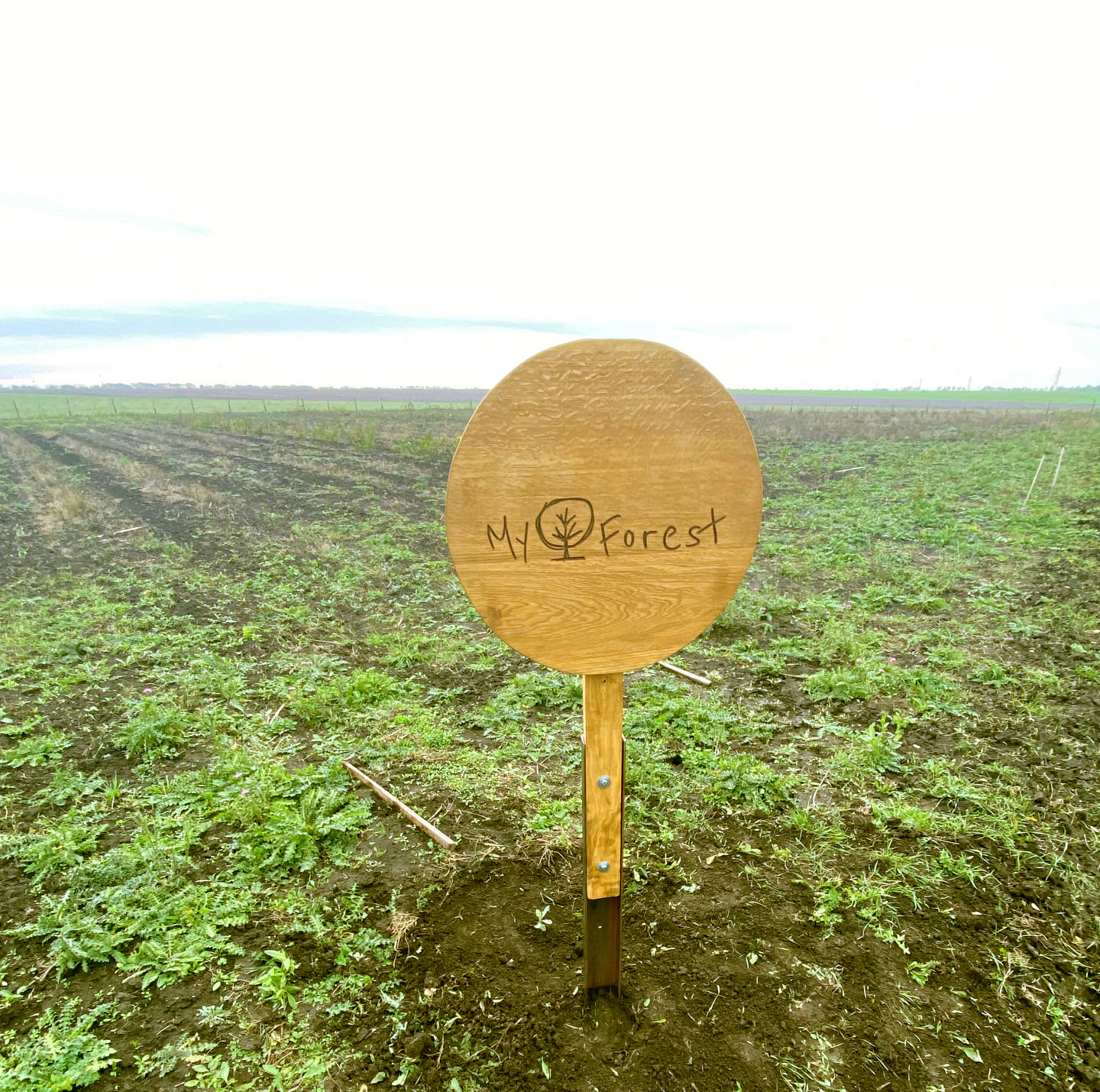 MyForest sign on a field