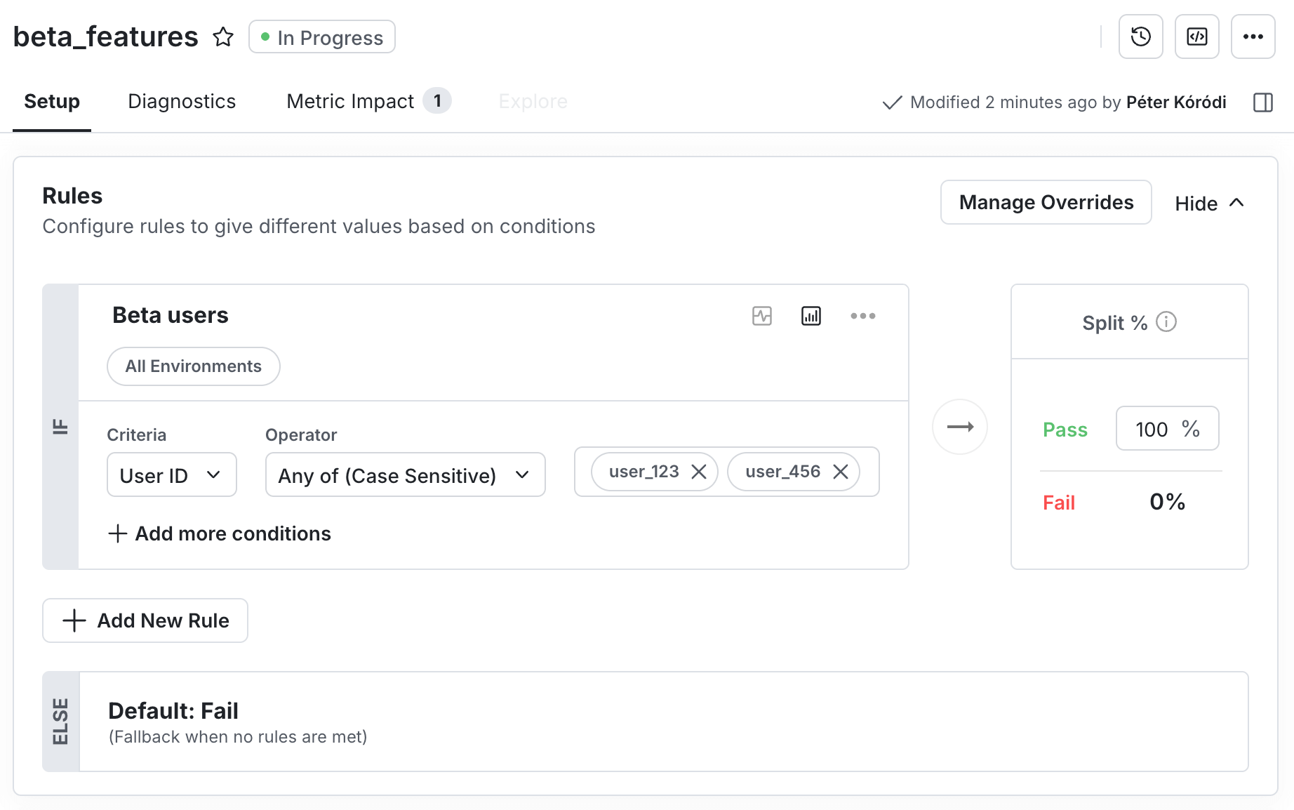 Statsig beta_features feature flag