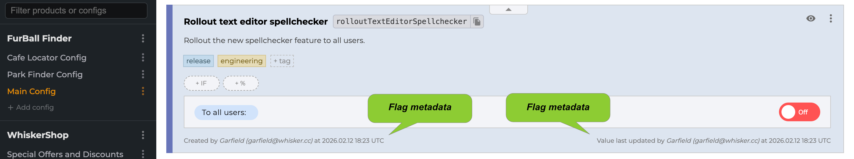Feature flag metadata