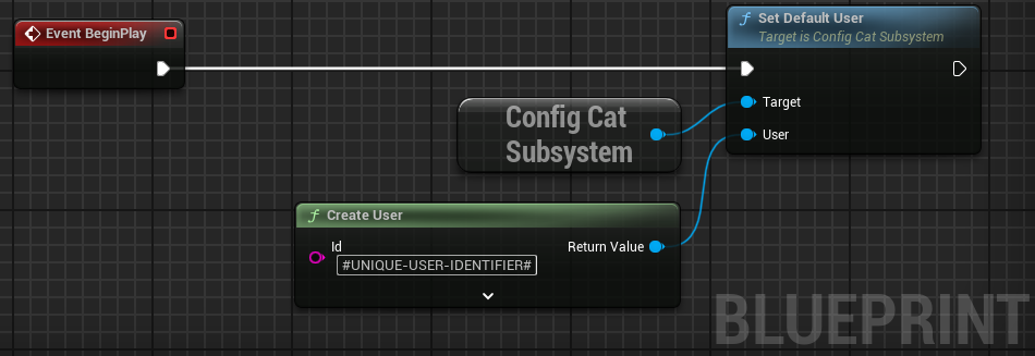 Unreal Engine Set Default User